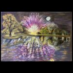Ver Park Fireworks by Isabel Crozier